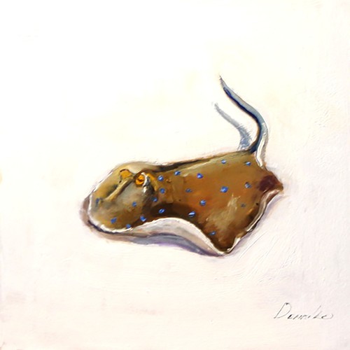 Pesce arte collezione - pesce,