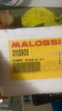 KIT MALOSSI POLINI