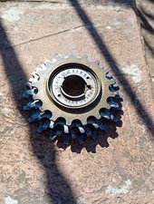 Regina Extra Ruota Libera 6 Velocita L'Eroica Colnago Bianchi