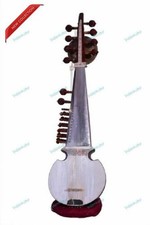 Speciale Ali Akbar Khan Style