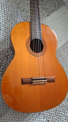 Vecchia chitarra kasuga - vecchia,