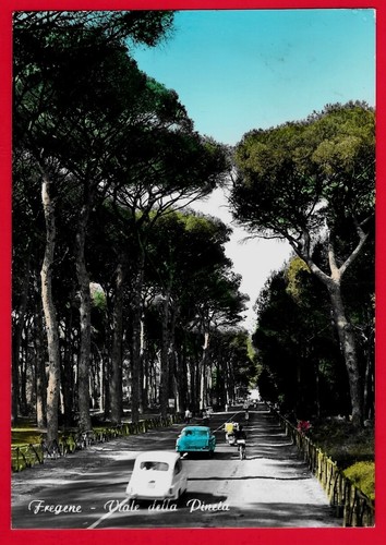 Fregene viale della pineta - viale,