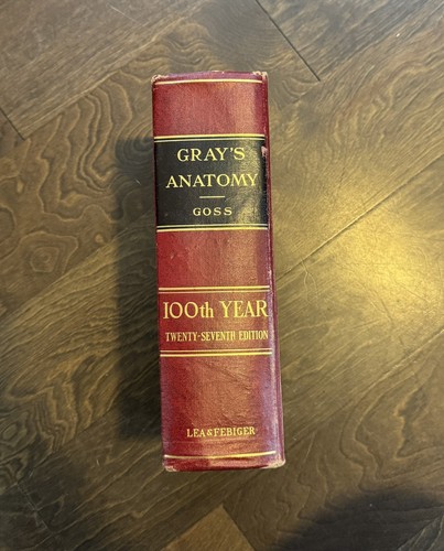 Gray anatomy the human - of,