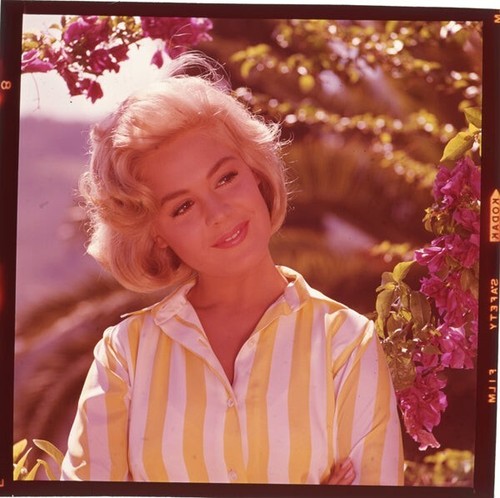 Sandra dee servizio - dee,