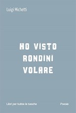 Libro Nuovo - Michetti Luigi - Ho Visto Rondini Volare  - Robin Edizioni