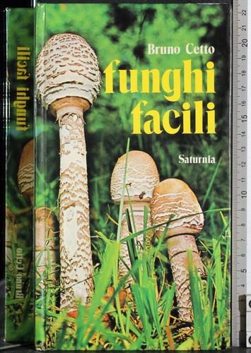 Funghi facili bruno cetto - bruno,
