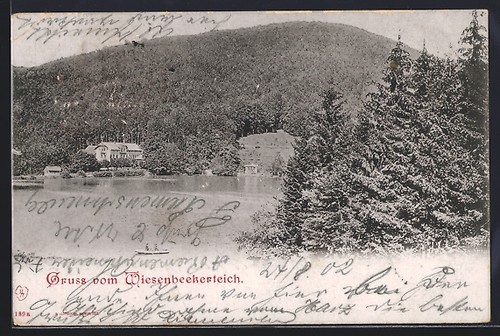 Lauterberg resina - ak,