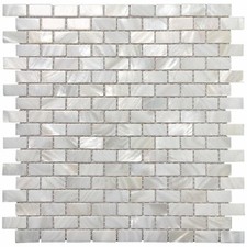 Piastrella Mosaico Conchiglia