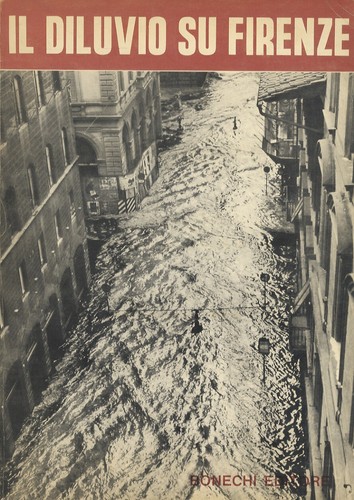 Diluvio firenze servizi - il,