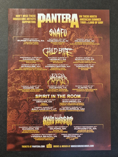 Pantera north american - north,