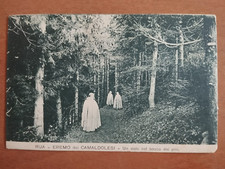 RUA -EREMO DEI CAMALDOLESI -PADOVA -BOSCO DEI PINI ANIMATA -CARTOLINA D'EPOCA