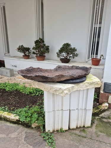Lastra per foresta bonsai - per, di