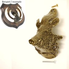 Cinghiale Testa Decorazione