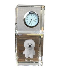 Bichon Frise, Bichon Riccio