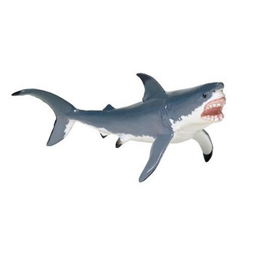 Great white shark sea - great,