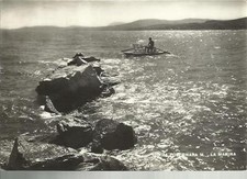 VECCHIA CARTOLINA DI FALCONARA MARITTIMA LA MARINA UOMO SU MOSCONE PATTINO 