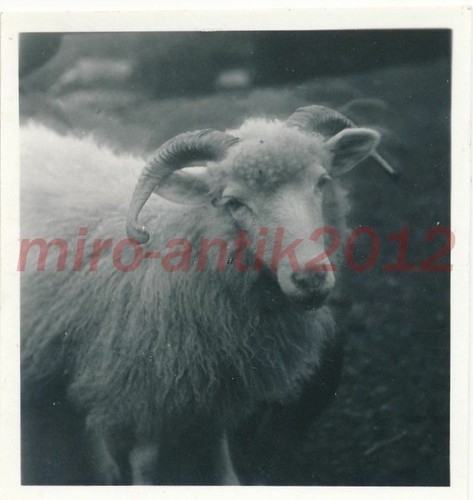 Foto nachl karl gissenler - foto,,