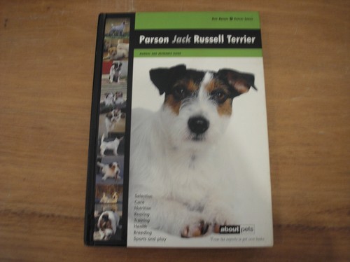 Parson jack russell terrier - parson,