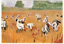 STAMPA D'OPERA 1972 LA RACCOLTA DEL GRANO MARIO BERRINO ALASSIO 