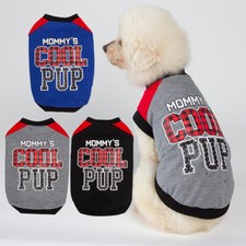 Vestiti Per Gatti Articoli Per