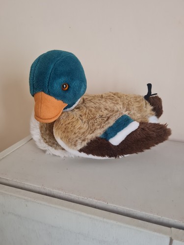 Peluche anatra germano - peluche, reale