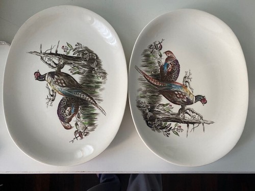 Johnson brothers game - johnson, birds