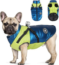 Cappotto Invernale per Cani