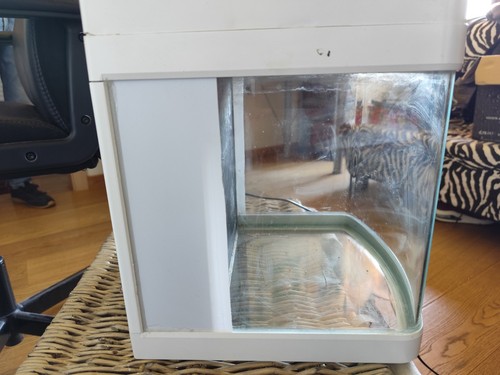 Acquario completo accessori - completo, di