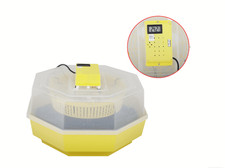 Incubatrice uova gallina - incubatrice,