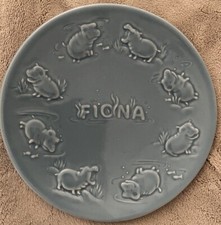 Rookwood Fiona The Hippo