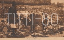 COSTUME DI OLIENA - COSTUMI