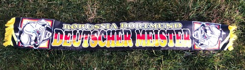 Sciarpa seta borussia - sciarpa,