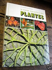 The Wonderful World Of Plants
