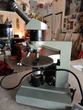 Microscopio polarizzatore