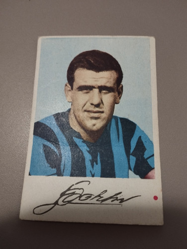 Rara bruno bolchi - (inter),