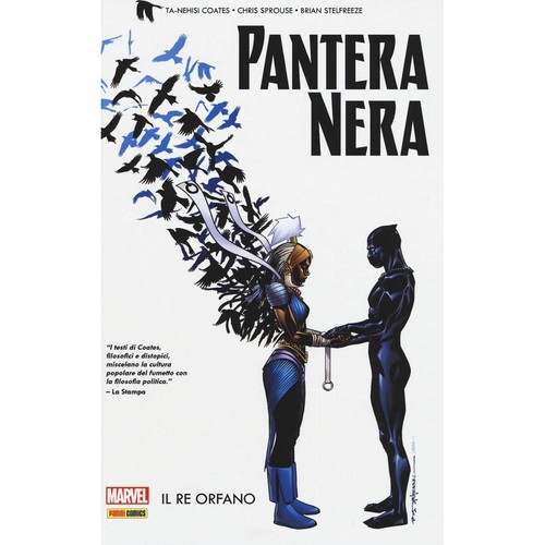 Pantera nera volume - pantera, 3