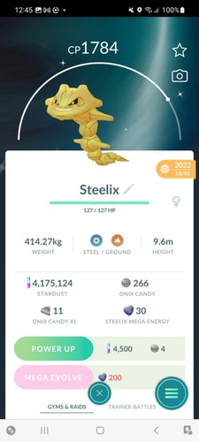 Pokemon shiny steelix - pokemon,