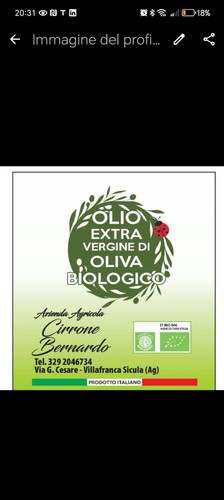 Olio extravergine oliva bio - oliva,