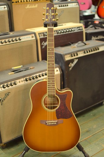 Chitarra elettrica acustica