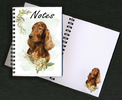 Irish setter dog - irish,