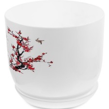  Fioriera succulenta Fioriera