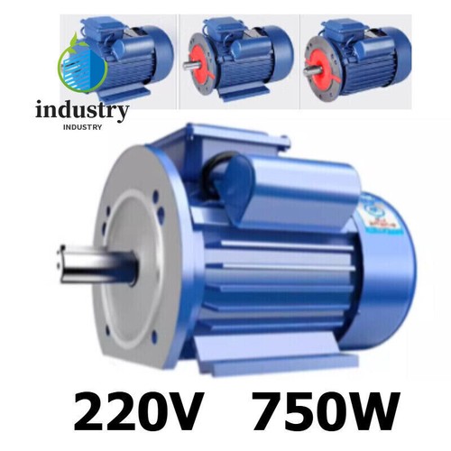 Motore elettrico monofase