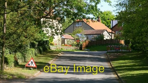 Photo 6x4 dog kennel lane - photo,