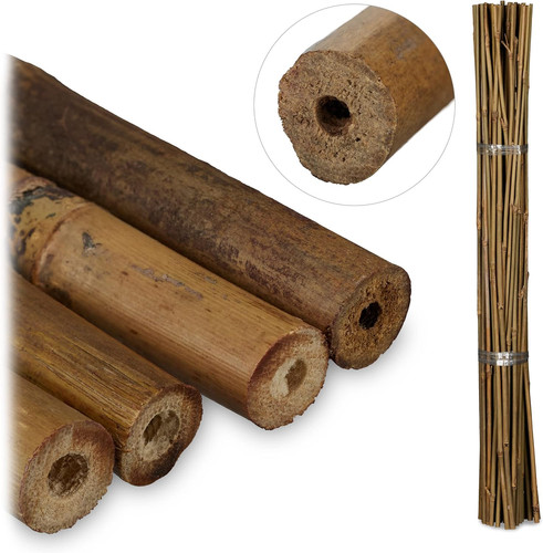 Canne bambù set 50 - di,