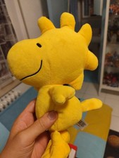 Woodstock Snoopy Coop 2024