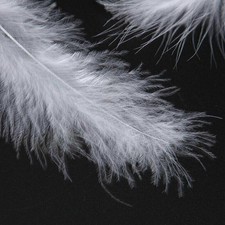 200 pezzi piume di mare 12