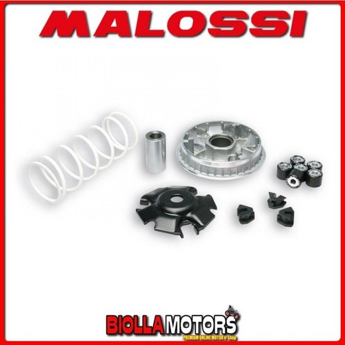 5111572 variatore malossi - variatore,