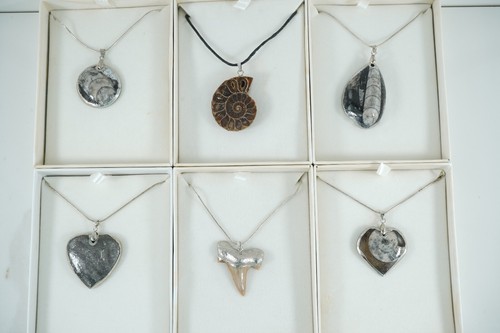 Pendente collana con fossile - collana,