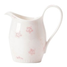  Brocca per il latte in