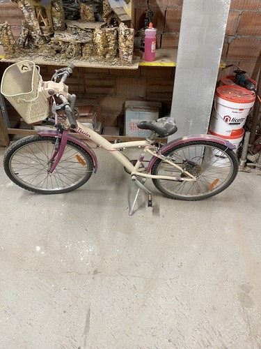 bicicletta